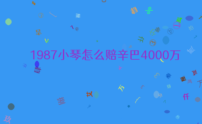 1987小琴怎么赔辛巴4000万