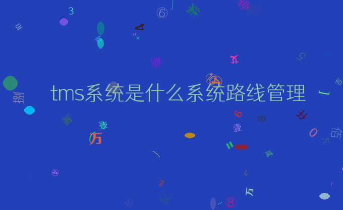 tms系统是什么系统路线管理