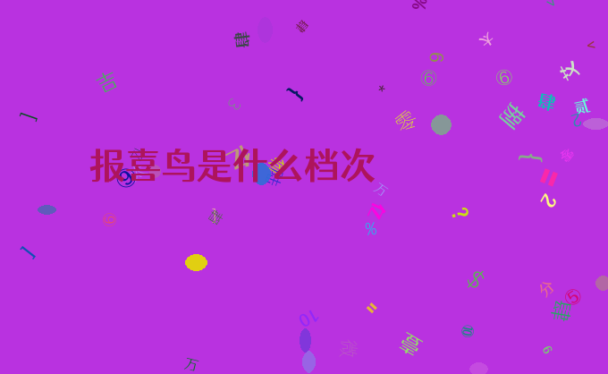 报喜鸟是什么档次